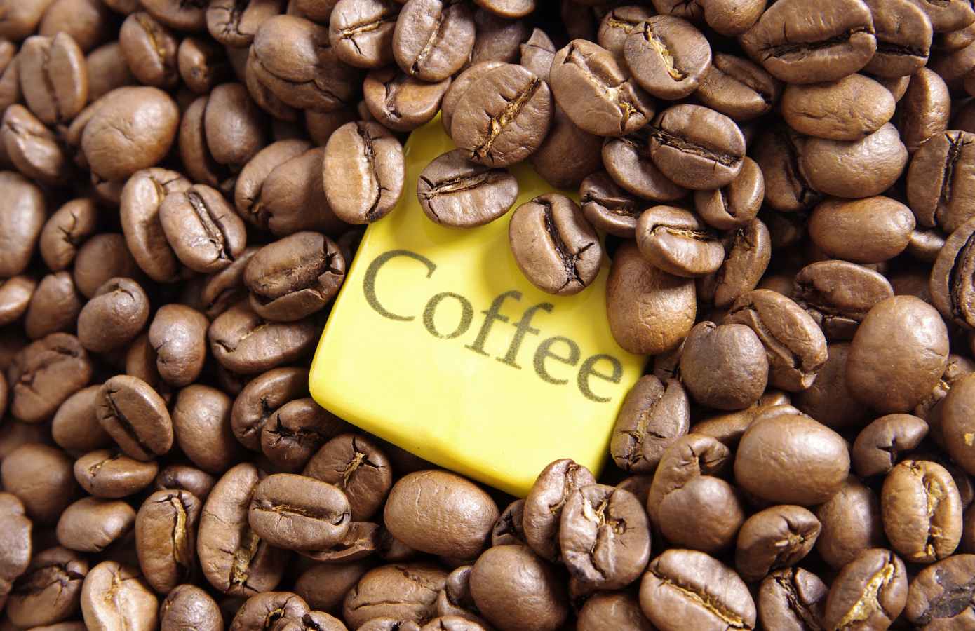 Como criar nomes criativos para linha de produtos?